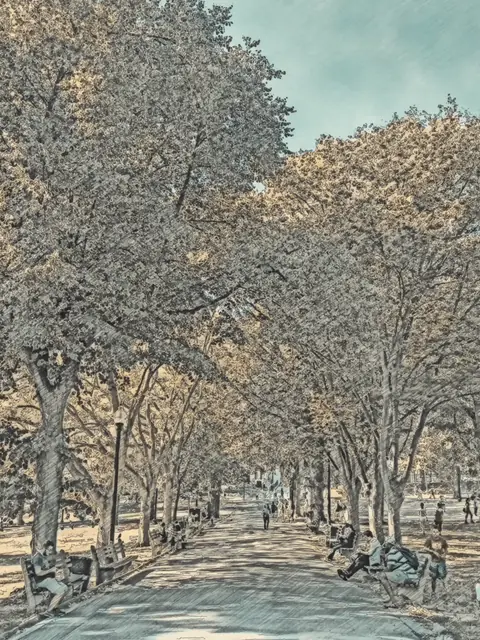 Watercolor sketch of Boston Common, Boston